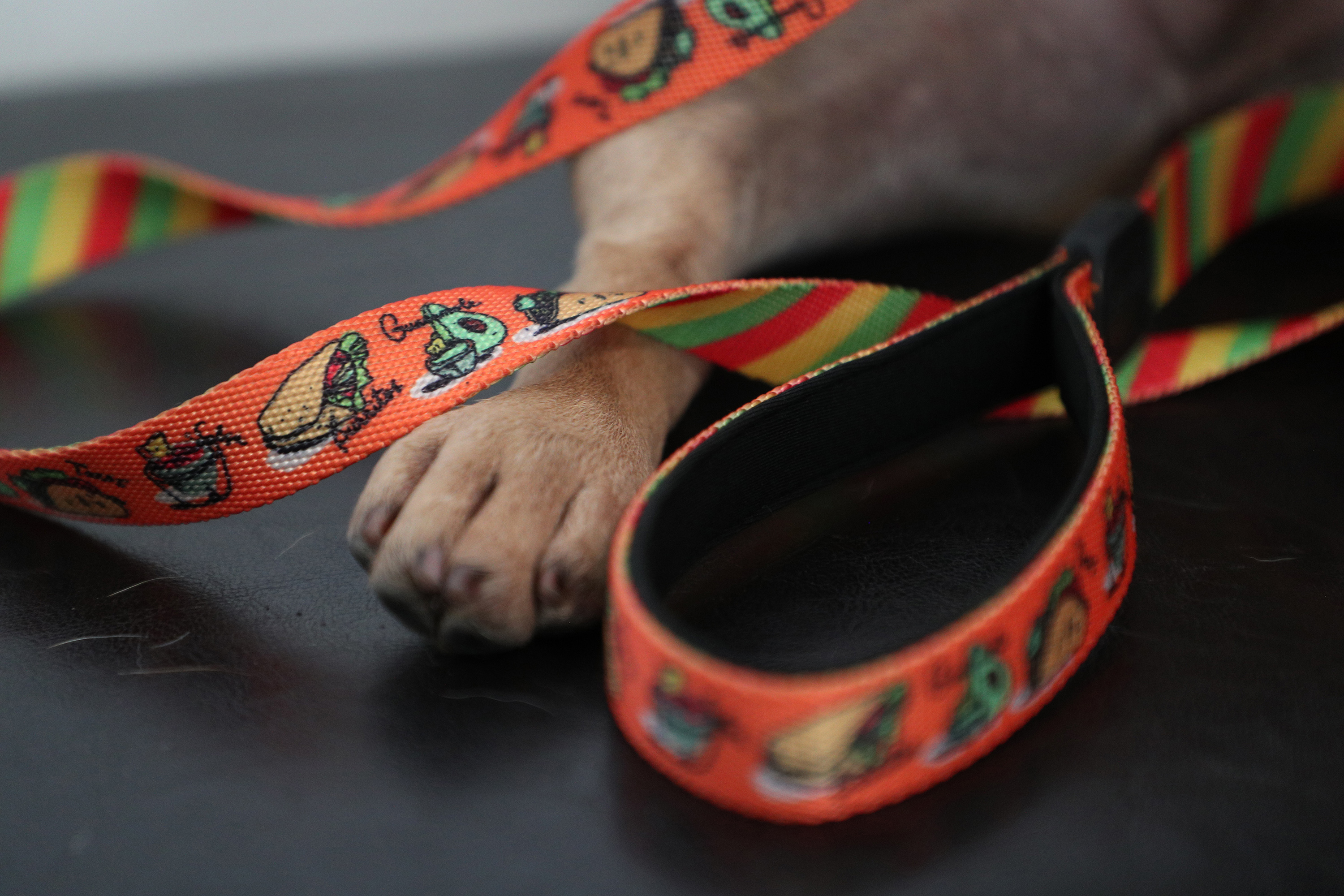 Toy Doggie es una línea de ropa y accesorios para mascotas diseñados en Puerto Rico por Viviana Rivera, una diseñadora de moda para mascotas certificada. En la foto, uno de los accesorios diseñados por Rivera. (Juan Luis Martínez Pérez)