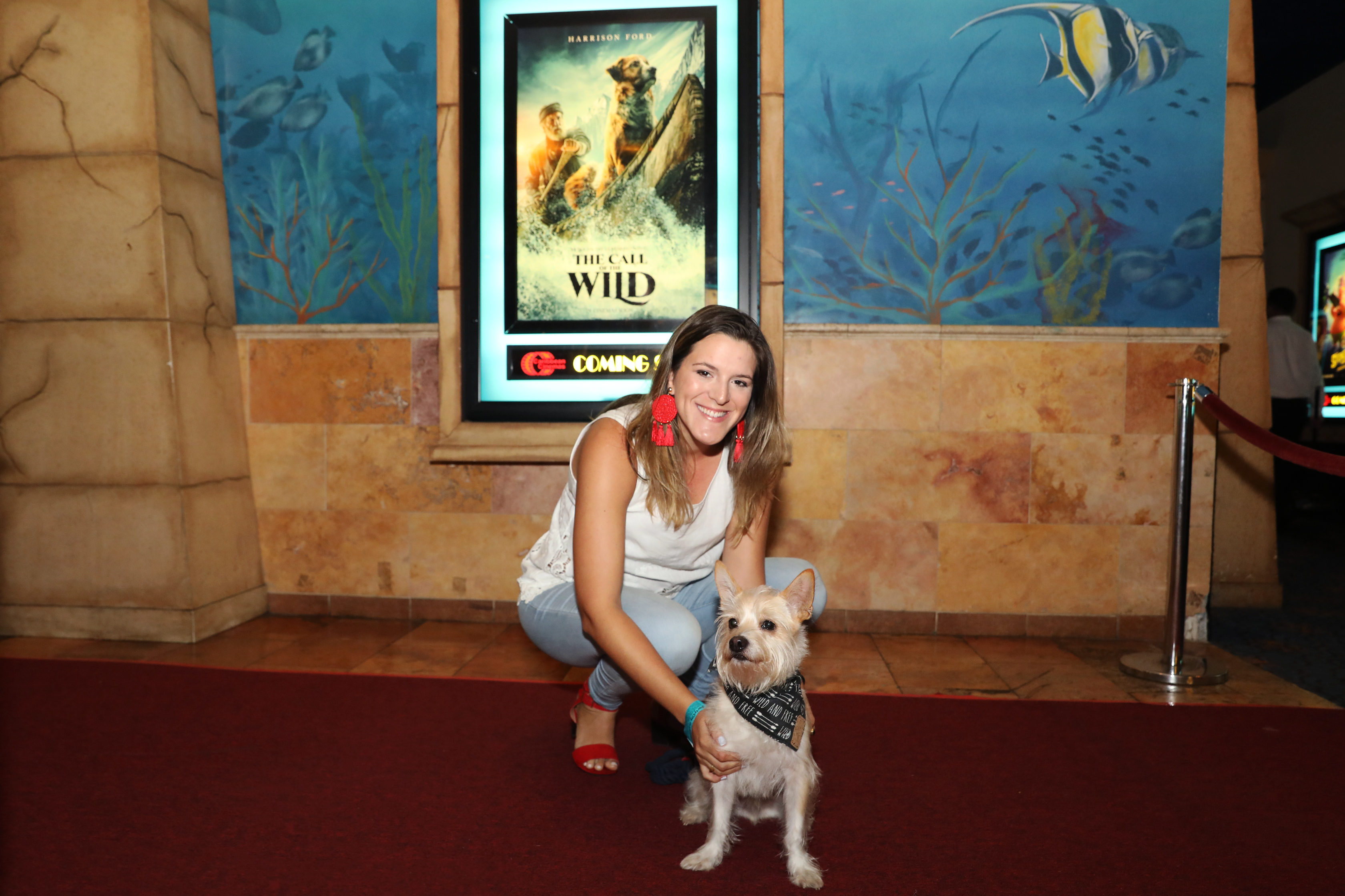 Junto con sus dueños, diversos perros de servicio desfilaron por la alfombra roja del estreno del filme The Call of the Wild. (Suministrada)