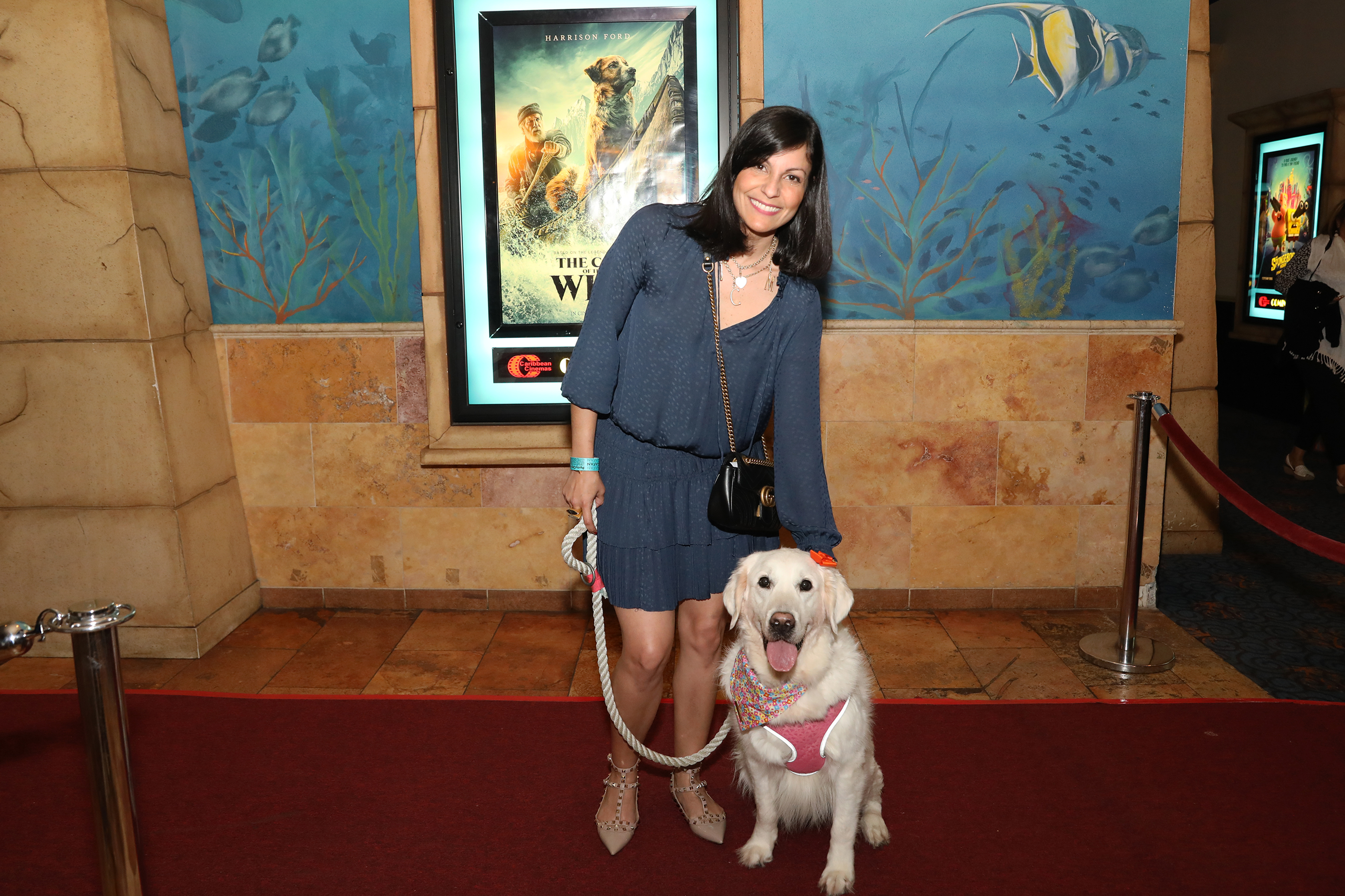 Junto con sus dueños, diversos perros de servicio desfilaron por la alfombra roja del estreno del filme The Call of the Wild. (Suministrada)