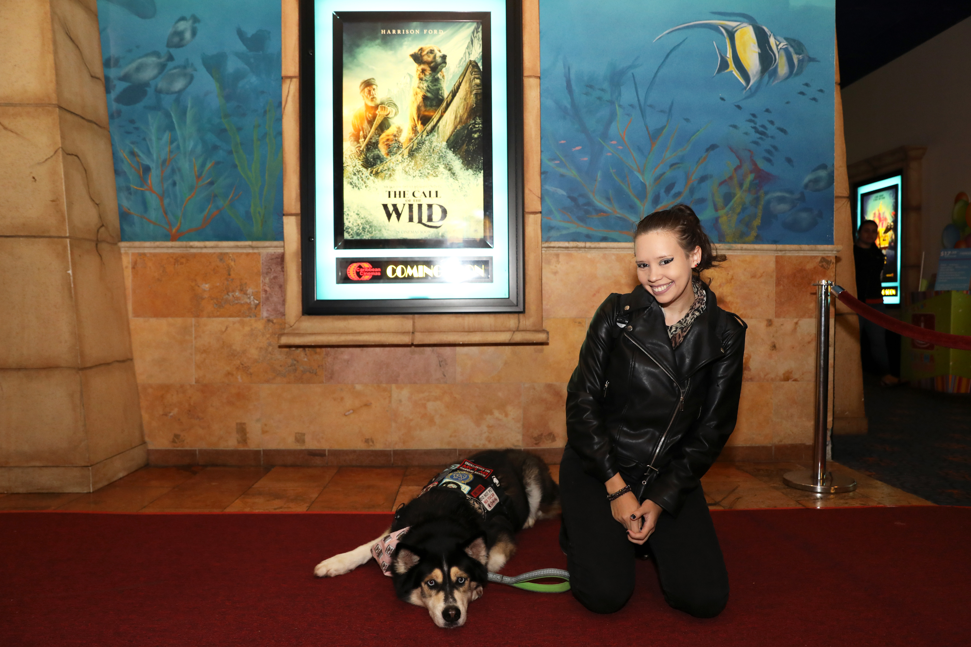 Junto con sus dueños, diversos perros de servicio desfilaron por la alfombra roja del estreno del filme The Call of the Wild. (Suministrada)