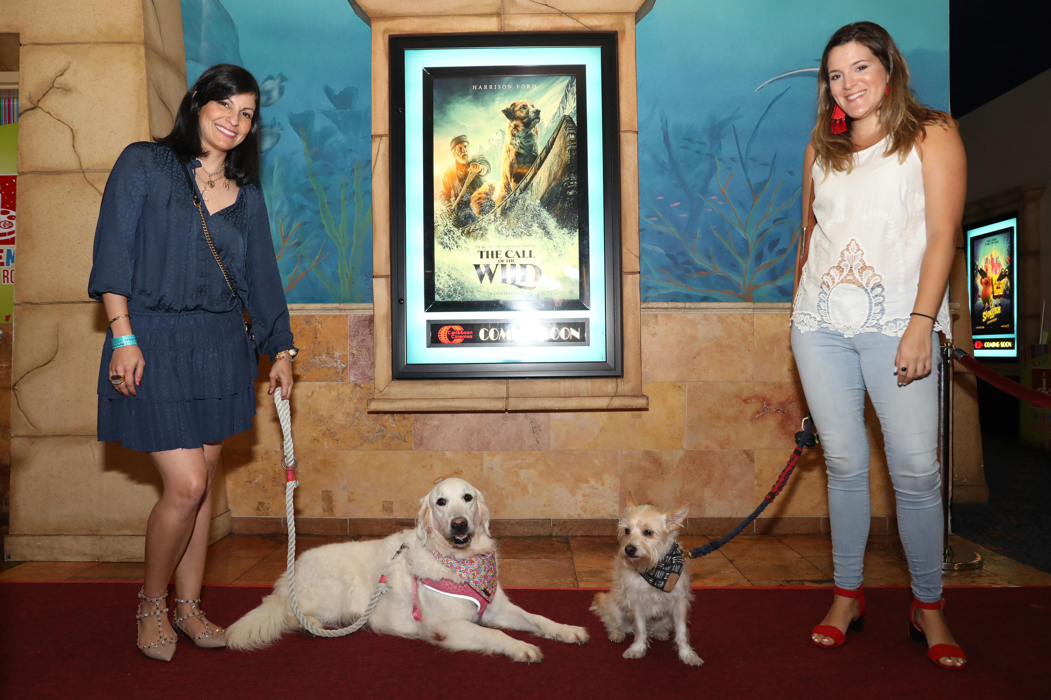 Junto con sus dueños, diversos perros de servicio desfilaron por la alfombra roja del estreno del filme The Call of the Wild. (Suministrada)