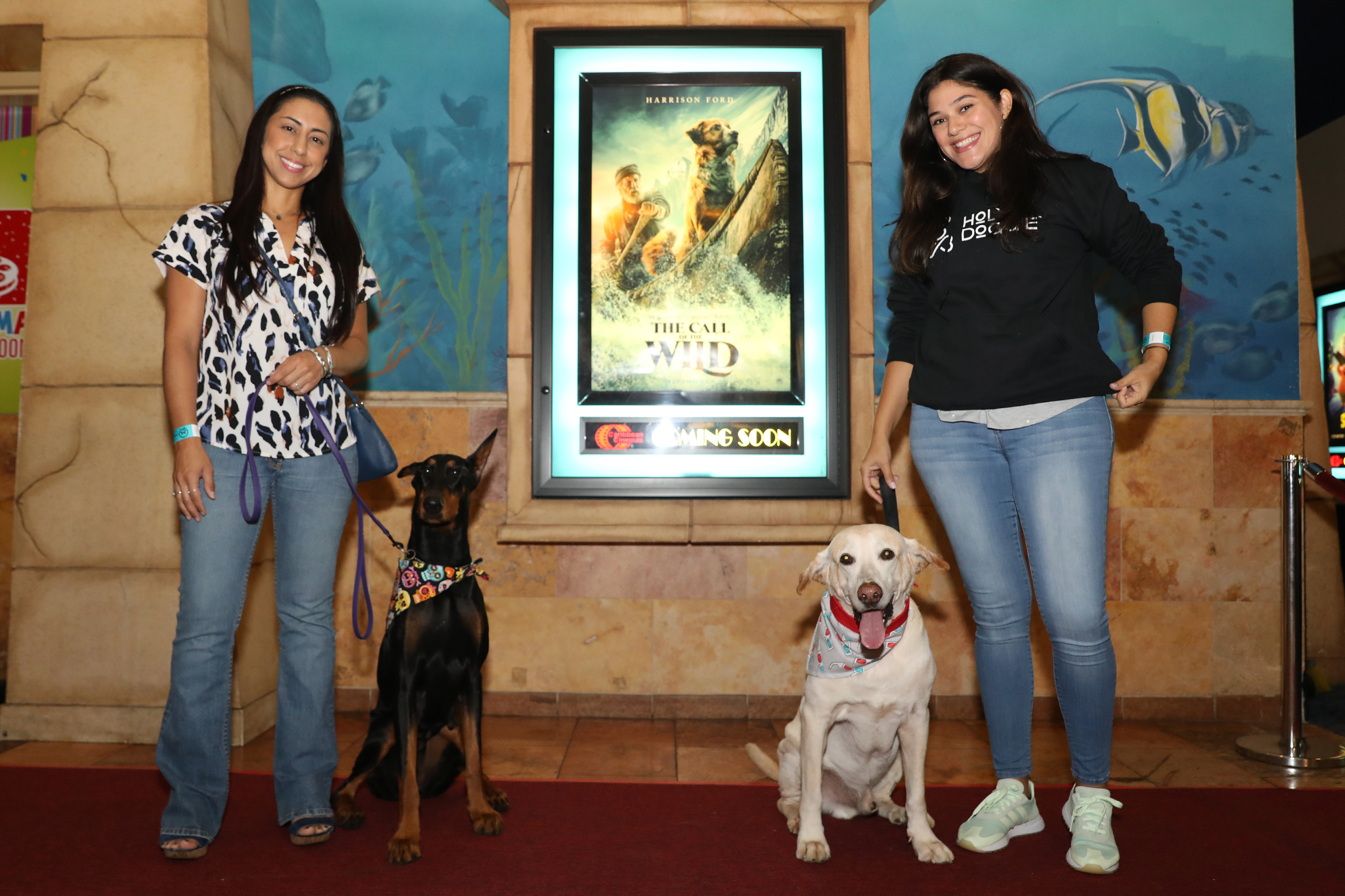 Junto con sus dueños, diversos perros de servicio desfilaron por la alfombra roja del estreno del filme The Call of the Wild. (Suministrada)