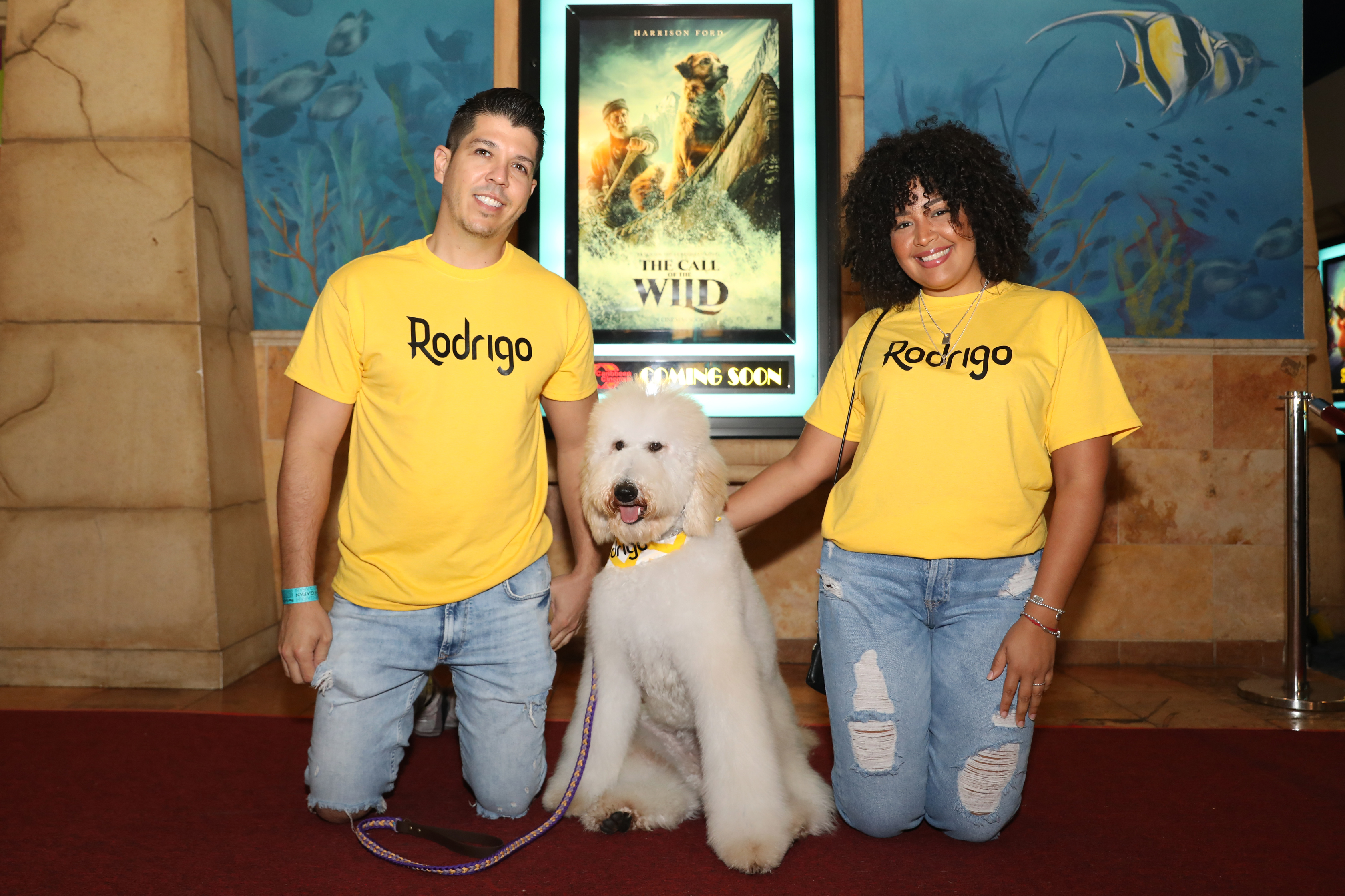 Junto con sus dueños, diversos perros de servicio desfilaron por la alfombra roja del estreno del filme The Call of the Wild. (Suministrada)