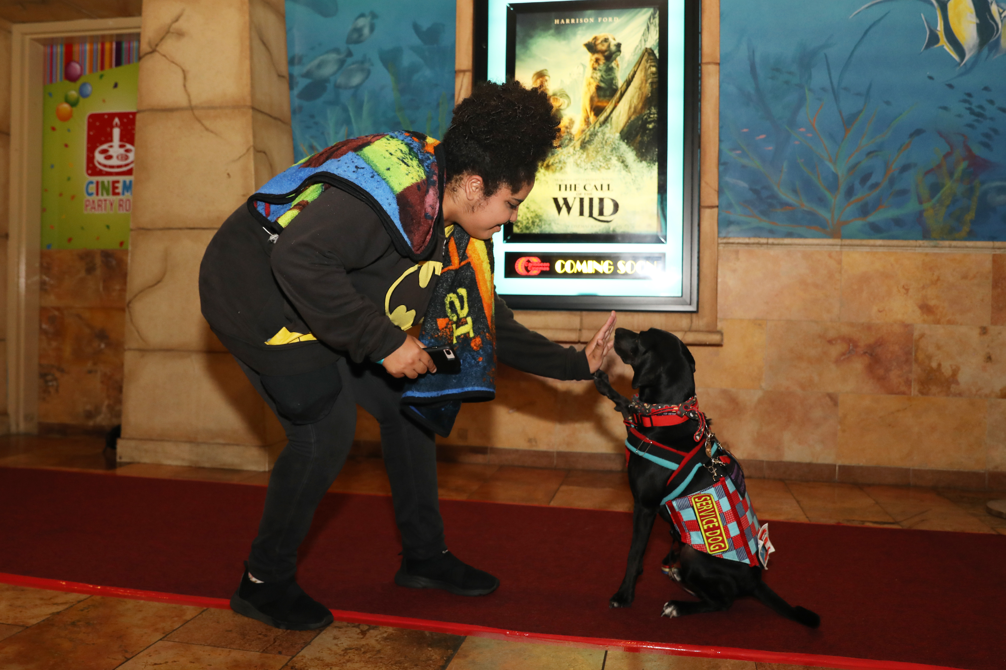 Junto con sus dueños, diversos perros de servicio desfilaron por la alfombra roja del estreno del filme The Call of the Wild. (Suministrada)