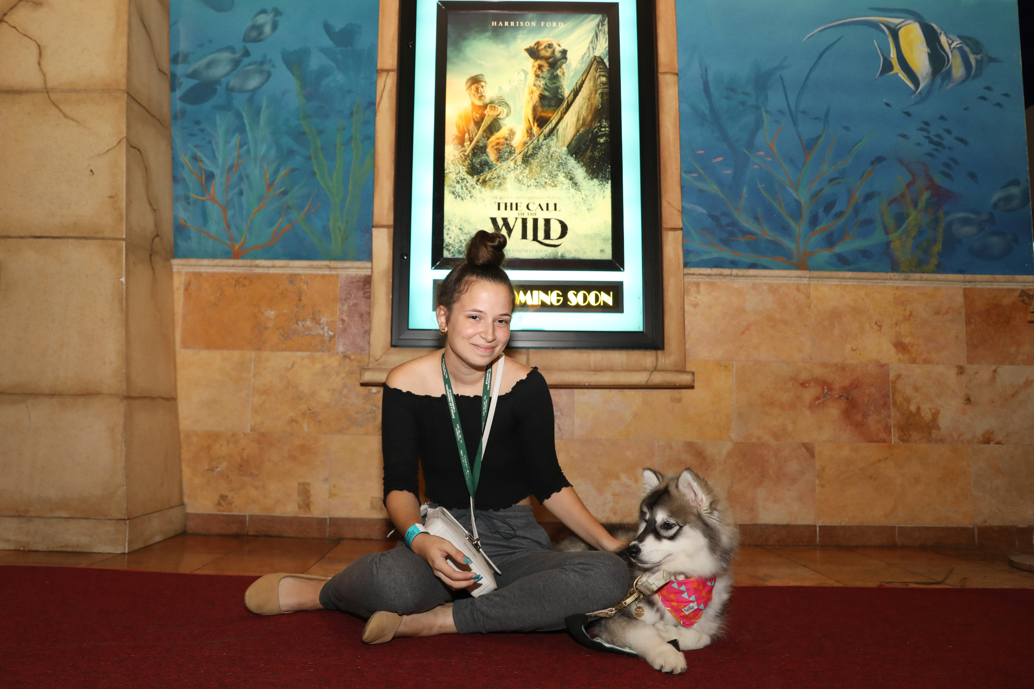 Junto con sus dueños, diversos perros de servicio desfilaron por la alfombra roja del estreno del filme The Call of the Wild. (Suministrada)