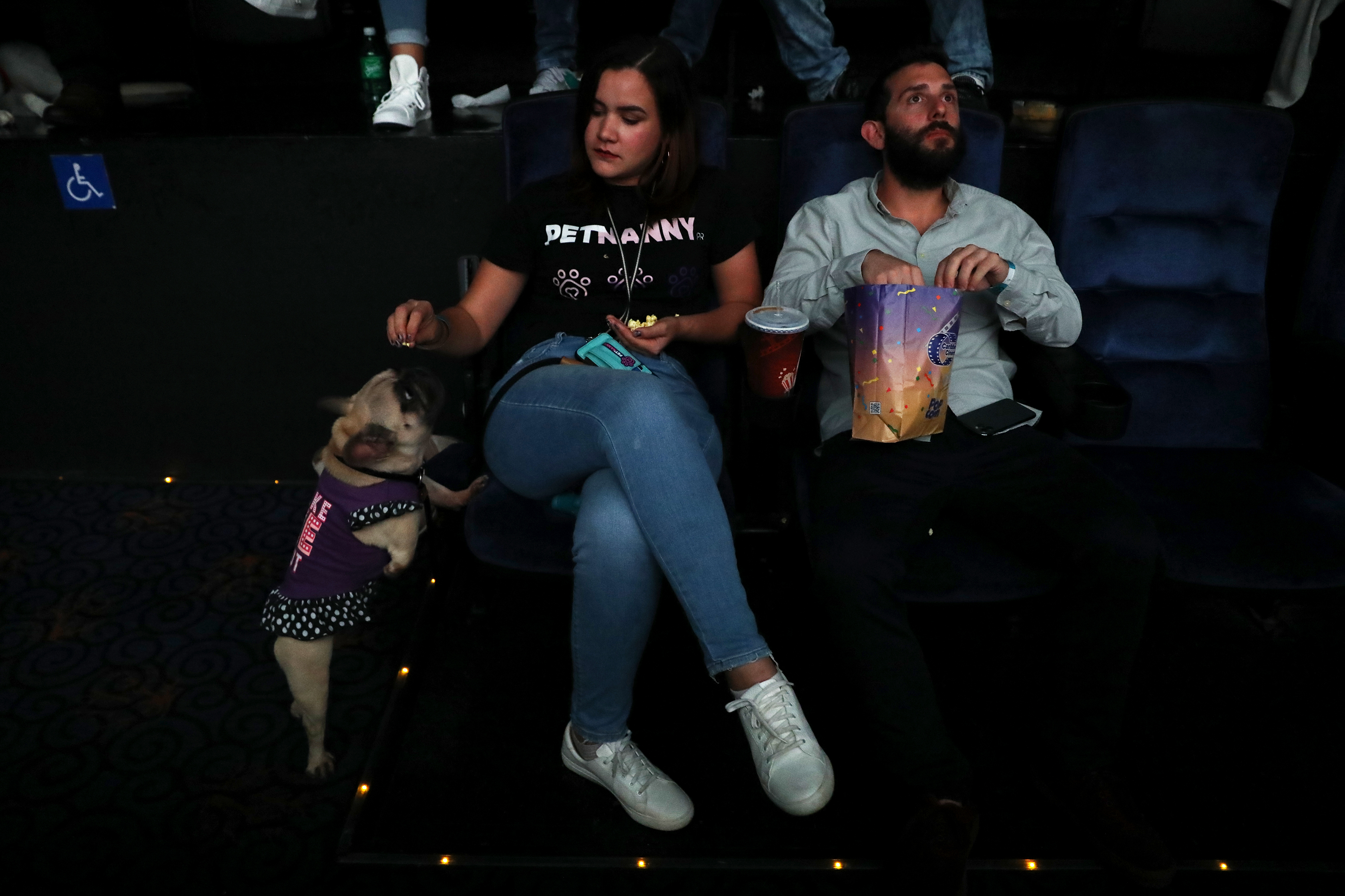 Junto con sus dueños, diversos perros de servicio desfilaron por la alfombra roja del estreno del filme The Call of the Wild. (Suministrada)