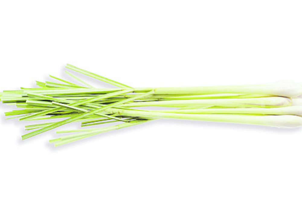 Limoncillo (lemongrass): Funciona muy bien para ayudar al sistema linfático a eliminar toxinas. Echar un par de gotas puro en una jarra de agua te ayuda a detoxificar y, en el aire, es bueno para liberar las emociones tóxicas o negativas. (Shutterstock)