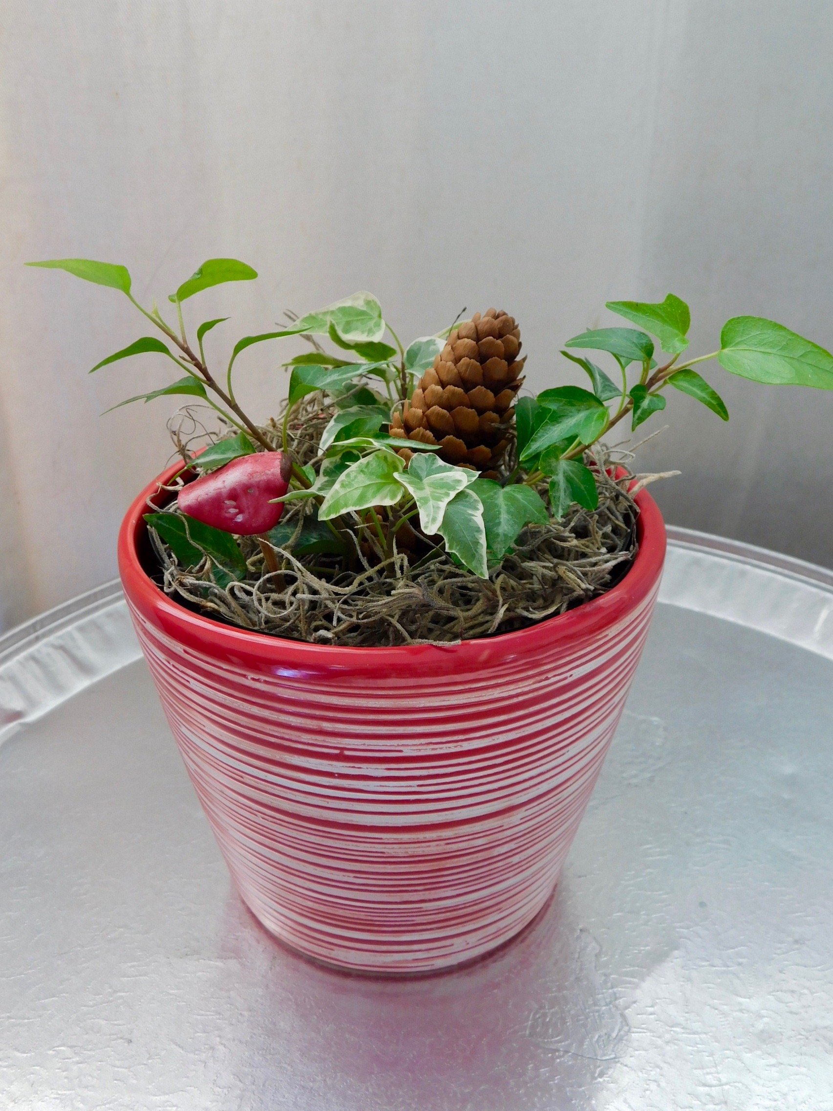 Decora con detalles pequeños y sencillo. En balance con la planta y el tiesto.