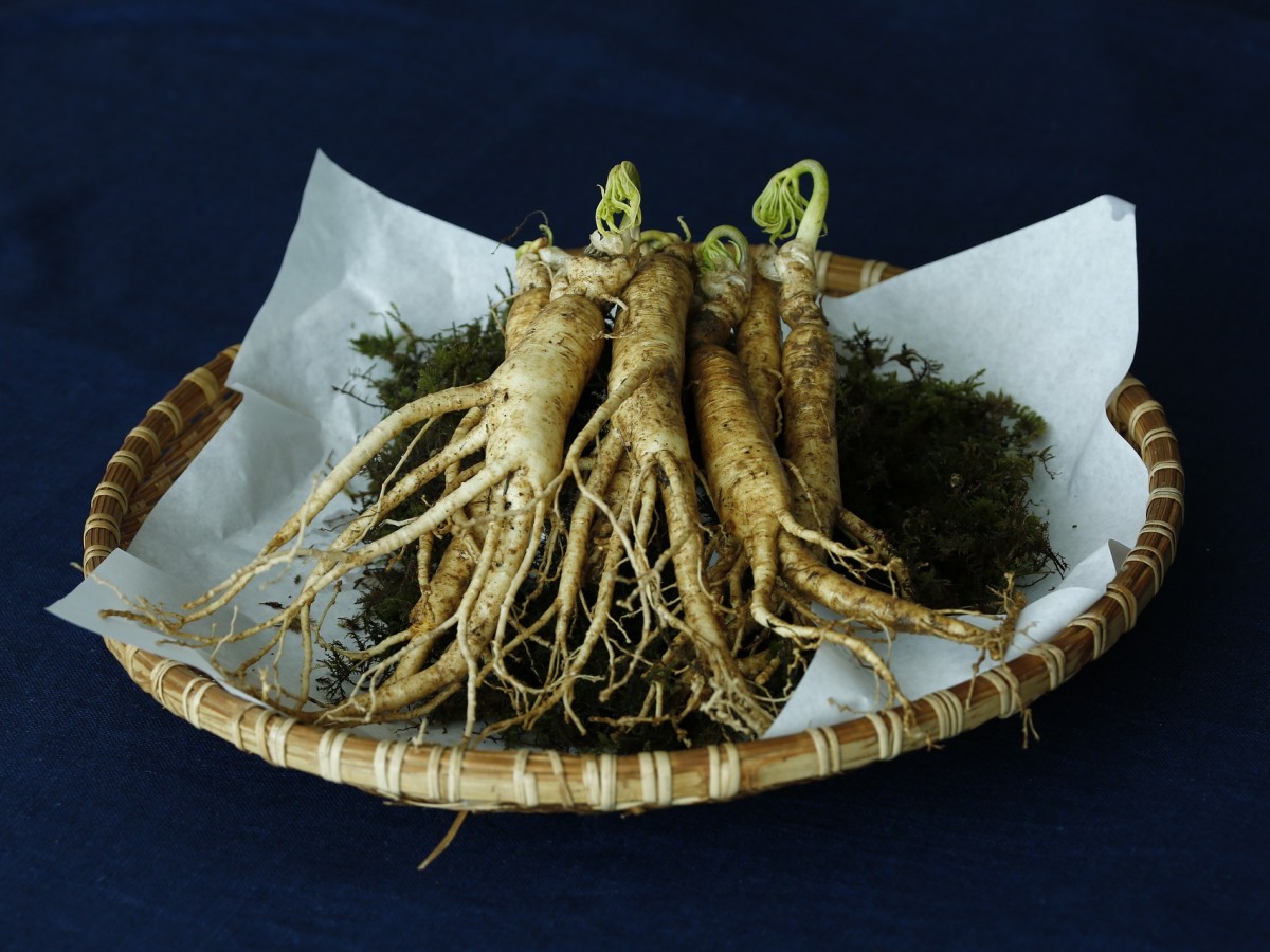 Conoce las propiedades del ginseng
