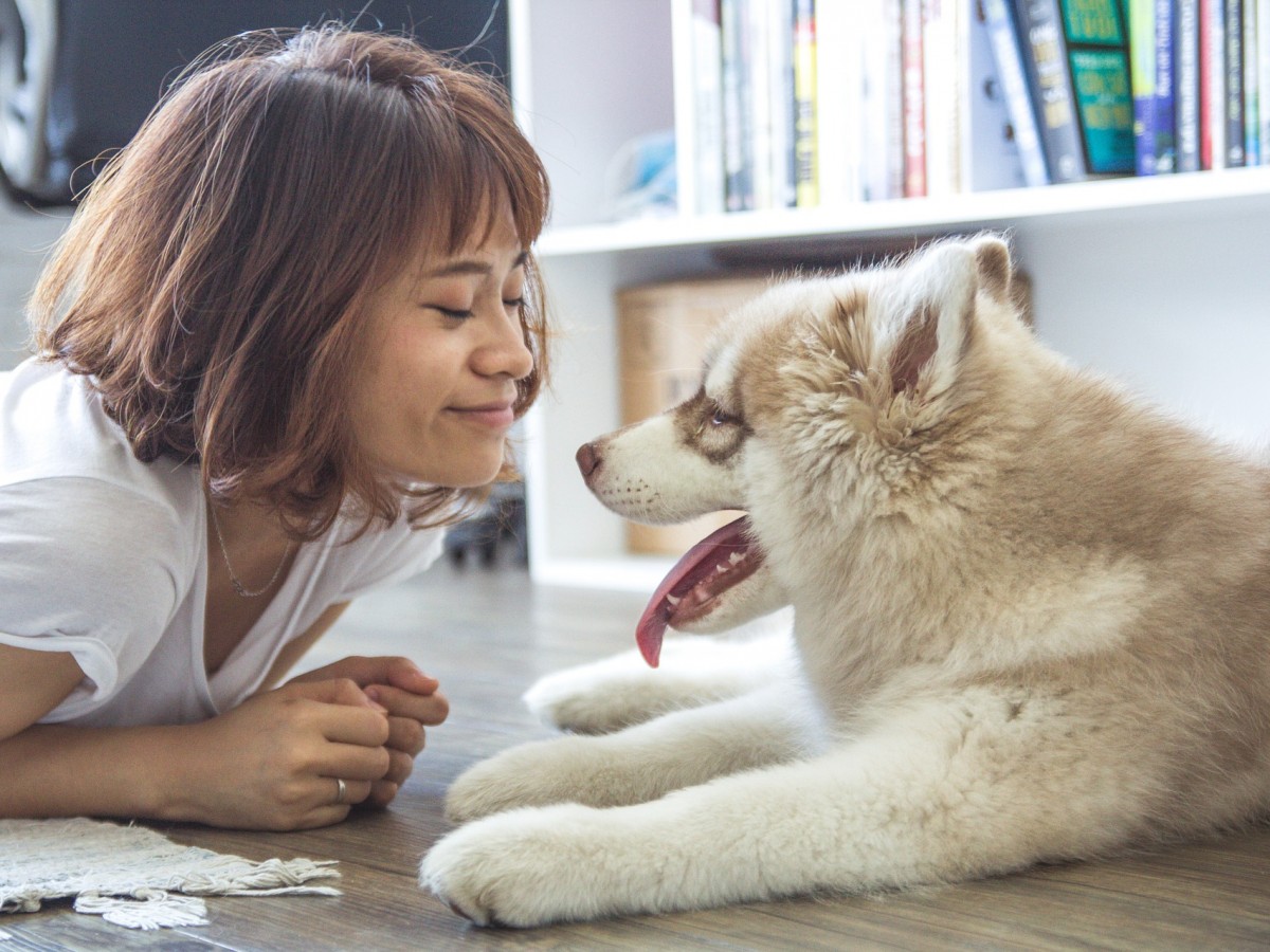 Cómo ayudan los animales a promover la salud mental