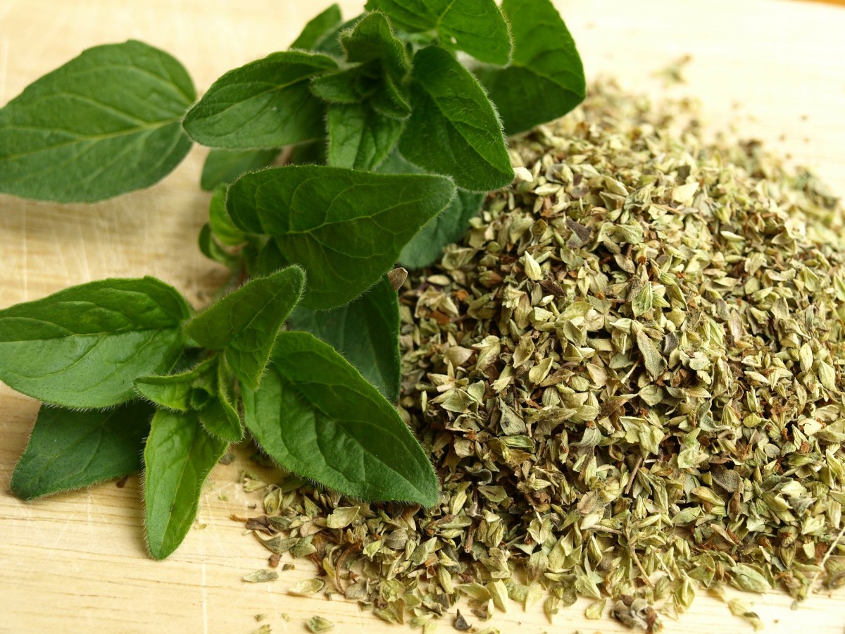 Conoce para qué sirve el té de orégano