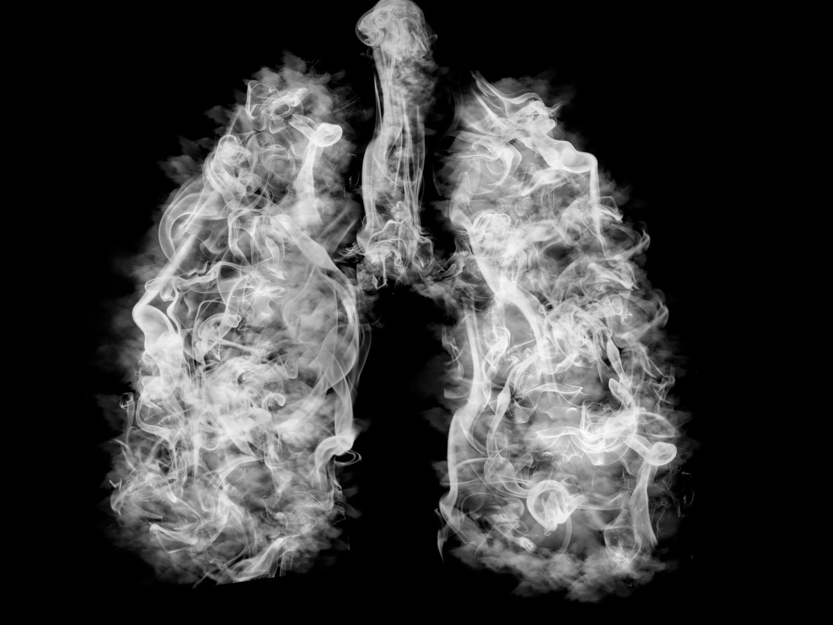 Estudio revela cómo dejar de fumar ''reverdece'' a las células protectoras de las glándulas y órganos
