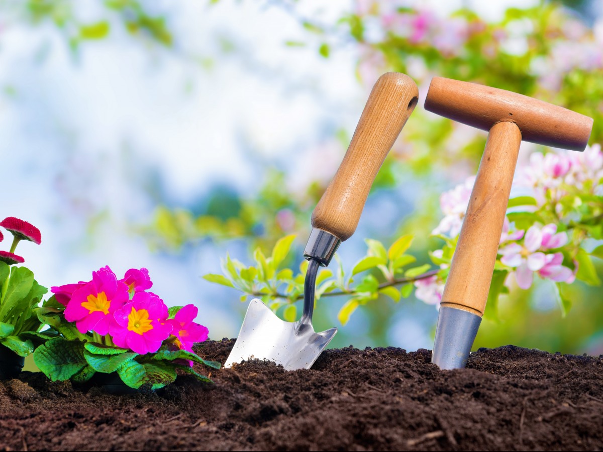 Lo que necesitas saber a la hora de empezar un jardín en casa
