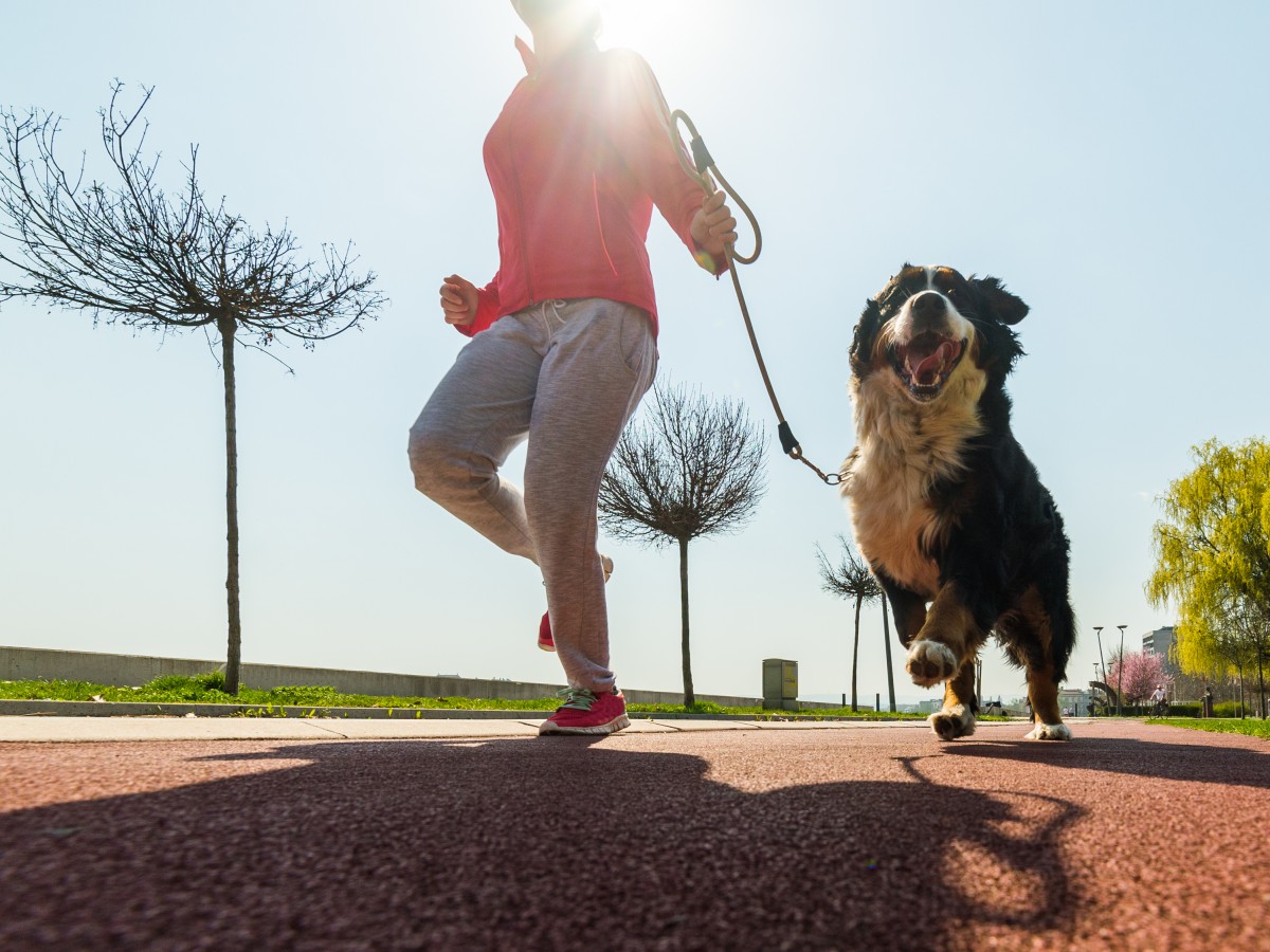Consejos para practicar deporte con tu perro