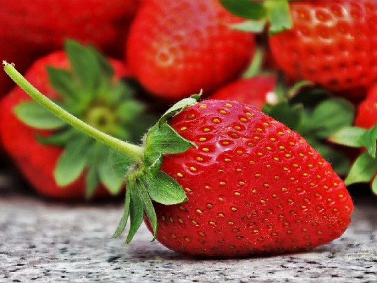 Conoce cómo conservar en buen estado las fresas