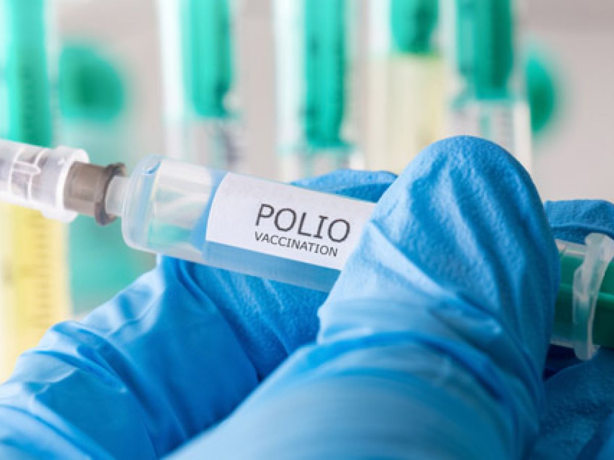 Emplean plantas para producir una nueva vacuna contra el virus de la polio