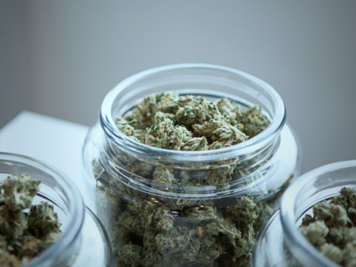 Expertos en Puerto Rico apuestan por el cannabis para contrarrestar efectos del alzhéimer