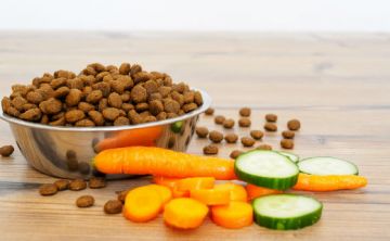 Comida cruda beneficia la salud de perros y gatos