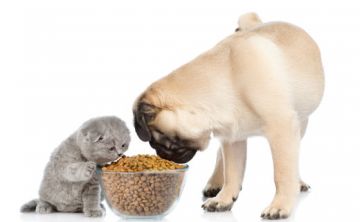 Un peso ideal para cada mascota