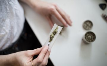 Identifican mecanismo por el que cannabis afecta a los circuitos neuronales