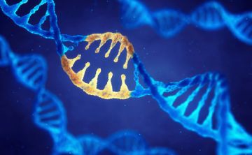 Identifican una señal genética común en la parálisis cerebral y el autismo