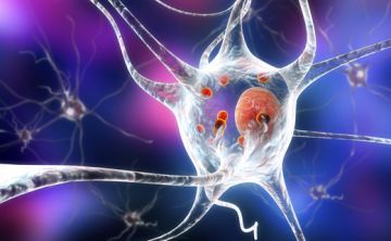 Un radiofármaco ayuda a diagnosticar y tratar oportunamente el párkinson