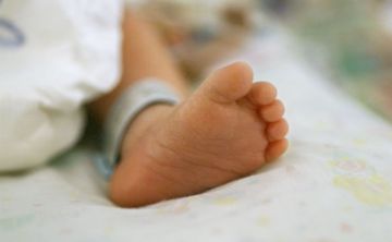 Uno de cada siete bebés de madres con zika tienen problemas de salud