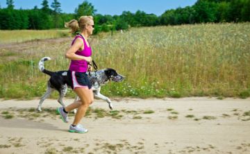 Manual para correr y entrenar con perros